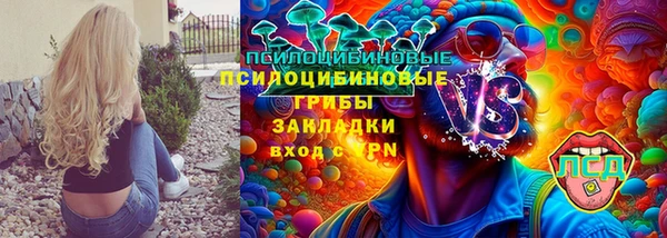 стаф Баксан
