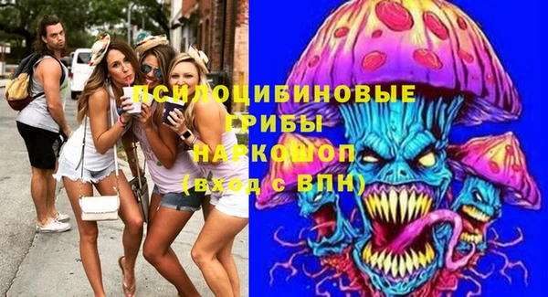 стаф Баксан