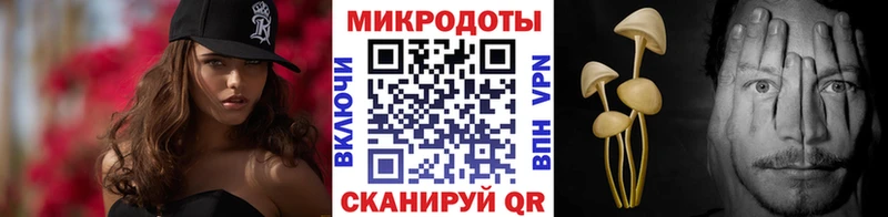 Купить где  Кочубеевское  Псилоцибиновые грибы прущие грибы 